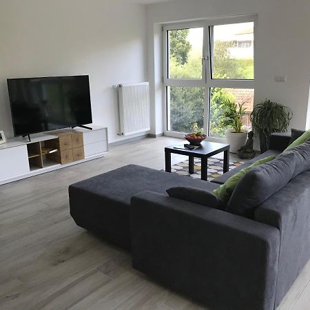 Ferienwohnung „Frosch“ Neukirchen-Balbini エクステリア 写真